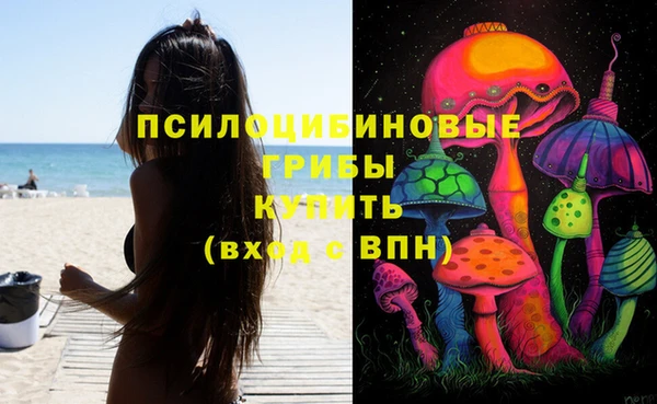соль ск Алексин