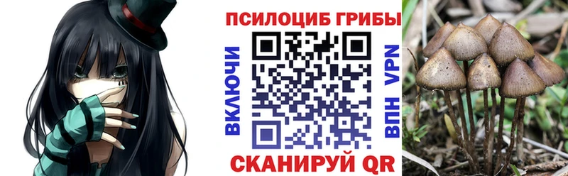 купить Андреаполь Псилоцибиновые грибы мухоморы