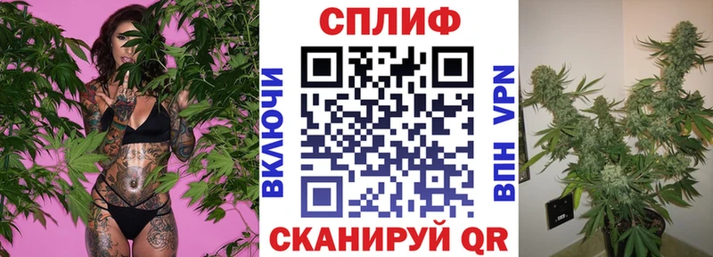 Каннабис ГИДРОПОН Андреаполь
